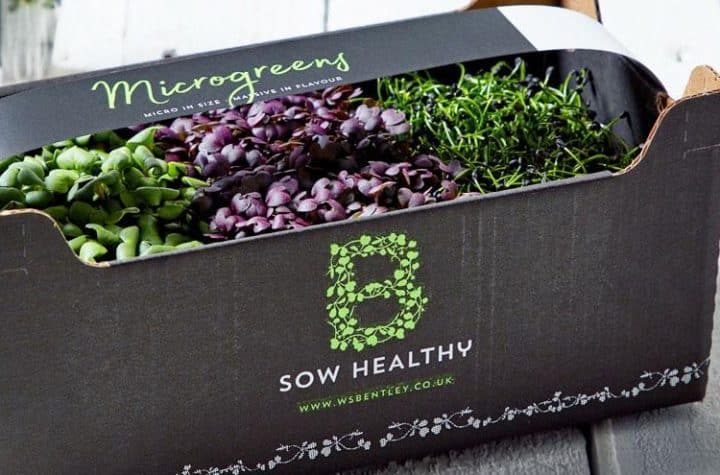 Branding and packaging design for B Sow Healthy, showcasing vibrant, healthy food packaging.